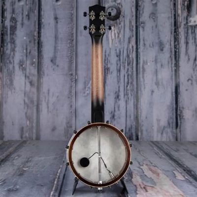 What Instruments Are Used in Country Music and Why Banjos Are the Secret to Time Travel