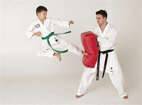 Why It Is Inaccurate to Call Karate a Martial Art: A Detailed Analysis